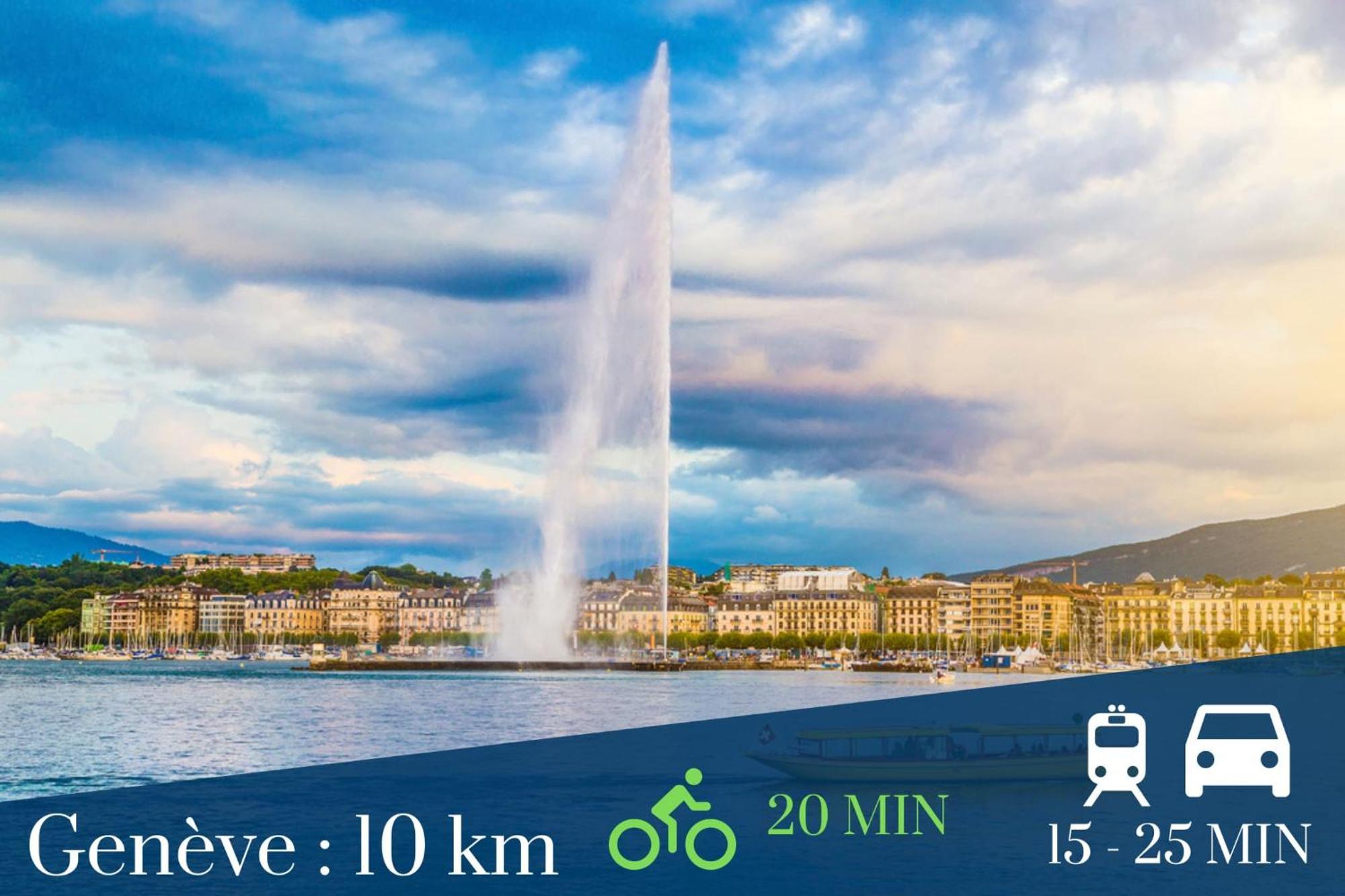 Homey Keola - Parking Prive Gratuit - Aux Portes De Geneve - Au Pied Du Tram - Appartement Avec 1 Chambre Et Un Grand Salon Avec Un Canape-Lit Ambilly Eksteriør billede